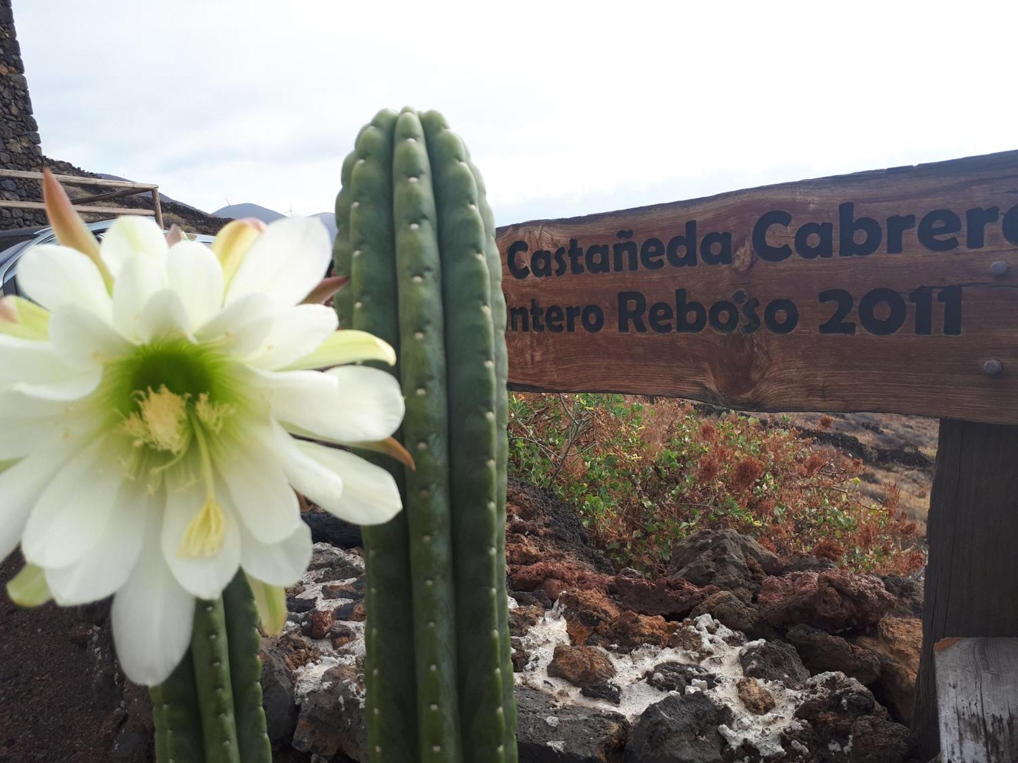 Pajero Las Cadenas Вальверде Экстерьер фото
